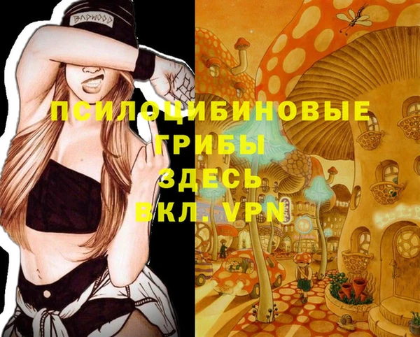 apvp Новокубанск