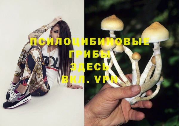 apvp Новокубанск