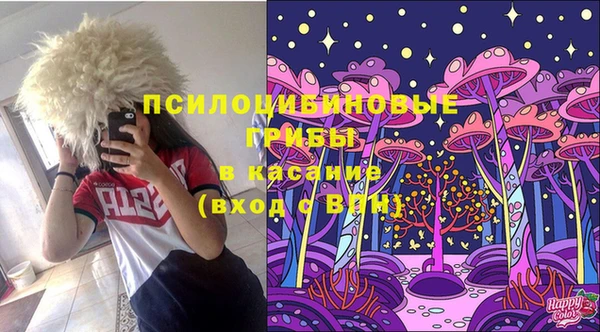 apvp Новозыбков