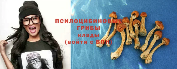 apvp Новозыбков